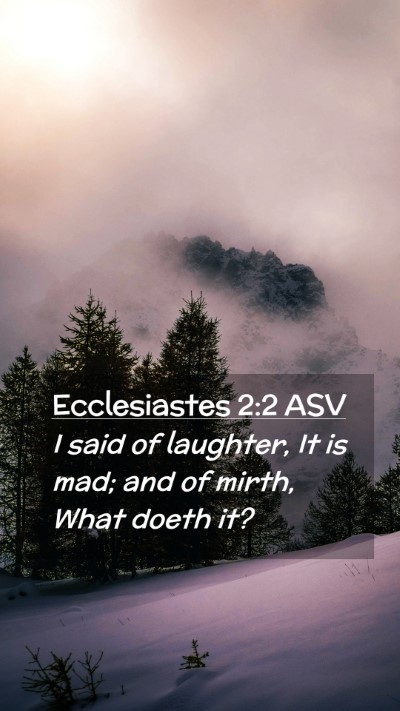 Picture 02 - Ecclesiastes 2:2 ASV Mobile Phone Wallpaper - I said of laughter, It is mad; and of mirth, What - Mobile Bible Verse Wallpaper