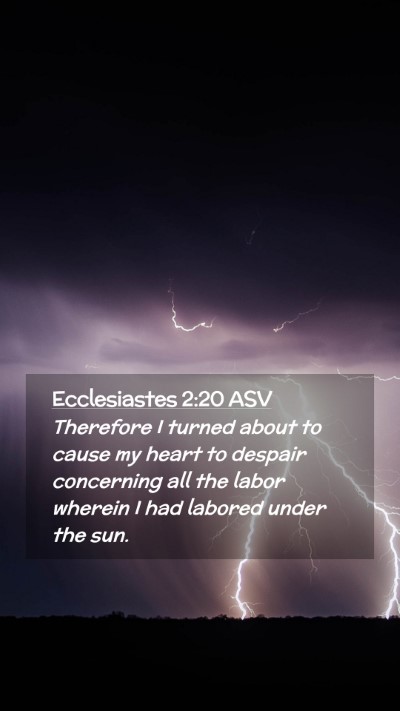 Picture 02 - Ecclesiastes 2:20 ASV Mobile Phone Wallpaper - Therefore I turned about to cause my heart to - Mobile Bible Verse Wallpaper
