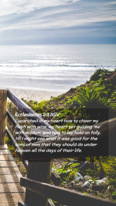 Picture 02 - Ecclesiastes 2:3 ASV Mobile Phone Wallpaper - I searched in my heart how to cheer my flesh with - Mobile Bible Verse Wallpaper