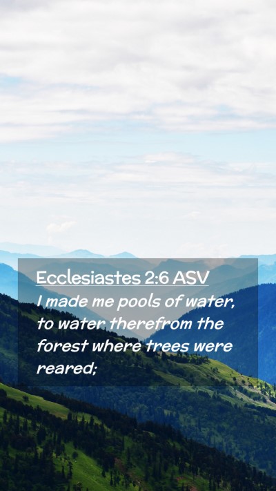 Picture 02 - Ecclesiastes 2:6 ASV Mobile Phone Wallpaper - I made me pools of water, to water therefrom the - Mobile Bible Verse Wallpaper