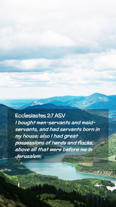 Picture 02 - Ecclesiastes 2:7 ASV Mobile Phone Wallpaper - I bought men-servants and maid-servants, and had - Mobile Bible Verse Wallpaper