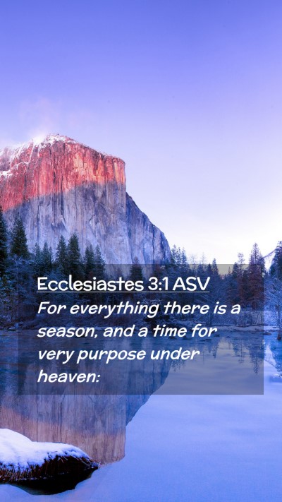 Picture 02 - Ecclesiastes 3:1 ASV Mobile Phone Wallpaper - For everything there is a season, and a time for - Mobile Bible Verse Wallpaper