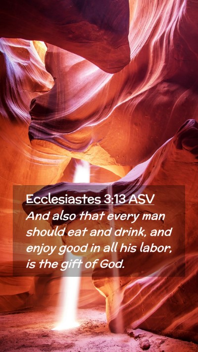 Picture 02 - Ecclesiastes 3:13 ASV Mobile Phone Wallpaper - And also that every man should eat and drink, and - Mobile Bible Verse Wallpaper