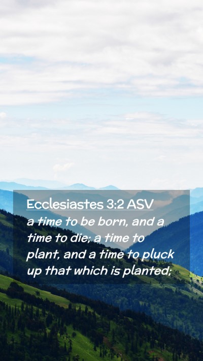 Picture 02 - Ecclesiastes 3:2 ASV Mobile Phone Wallpaper - a time to be born, and a time to die; a time to - Mobile Bible Verse Wallpaper