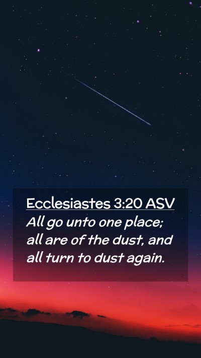 Picture 02 - Ecclesiastes 3:20 ASV Mobile Phone Wallpaper - All go unto one place; all are of the dust, and - Mobile Bible Verse Wallpaper