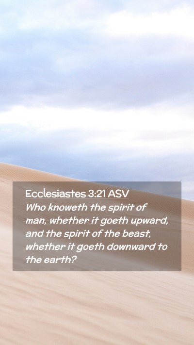 Picture 02 - Ecclesiastes 3:21 ASV Mobile Phone Wallpaper - Who knoweth the spirit of man, whether it goeth - Mobile Bible Verse Wallpaper