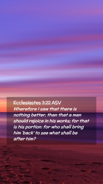 Picture 02 - Ecclesiastes 3:22 ASV Mobile Phone Wallpaper - Wherefore I saw that there is nothing better, - Mobile Bible Verse Wallpaper