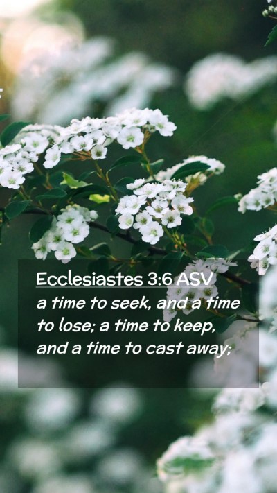 Picture 02 - Ecclesiastes 3:6 ASV Mobile Phone Wallpaper - a time to seek, and a time to lose; a time to - Mobile Bible Verse Wallpaper