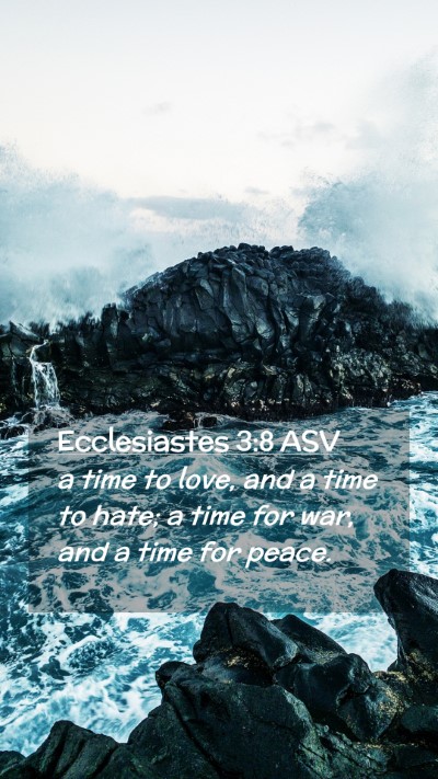 Picture 02 - Ecclesiastes 3:8 ASV Mobile Phone Wallpaper - a time to love, and a time to hate; a time for - Mobile Bible Verse Wallpaper