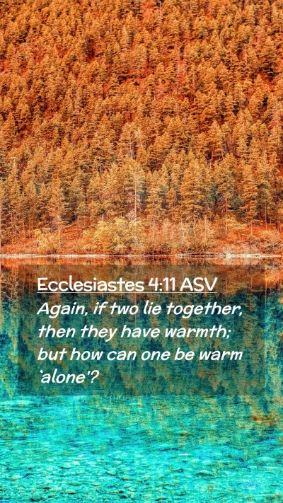 Picture 02 - Ecclesiastes 4:11 ASV Mobile Phone Wallpaper - Again, if two lie together, then they have - Mobile Bible Verse Wallpaper