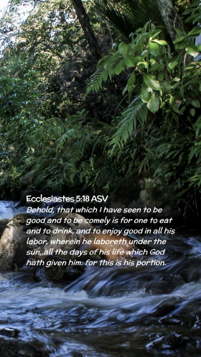 Picture 02 - Ecclesiastes 5:18 ASV Mobile Phone Wallpaper - Behold, that which I have seen to be good and to - Mobile Bible Verse Wallpaper