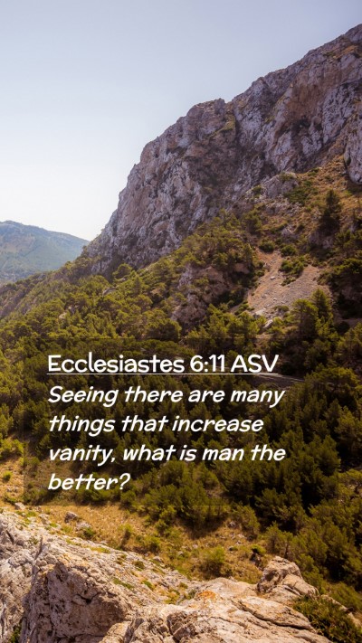 Picture 02 - Ecclesiastes 6:11 ASV Mobile Phone Wallpaper - Seeing there are many things that increase - Mobile Bible Verse Wallpaper