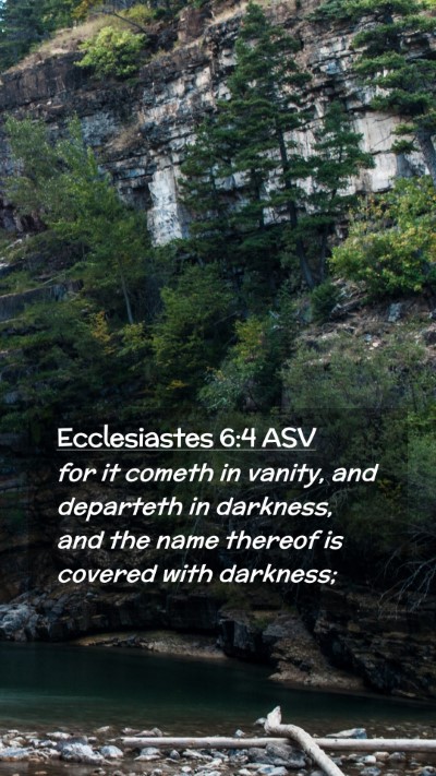 Picture 02 - Ecclesiastes 6:4 ASV Mobile Phone Wallpaper - for it cometh in vanity, and departeth in - Mobile Bible Verse Wallpaper