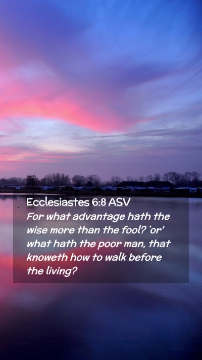 Picture 02 - Ecclesiastes 6:8 ASV Mobile Phone Wallpaper - For what advantage hath the wise more than the - Mobile Bible Verse Wallpaper