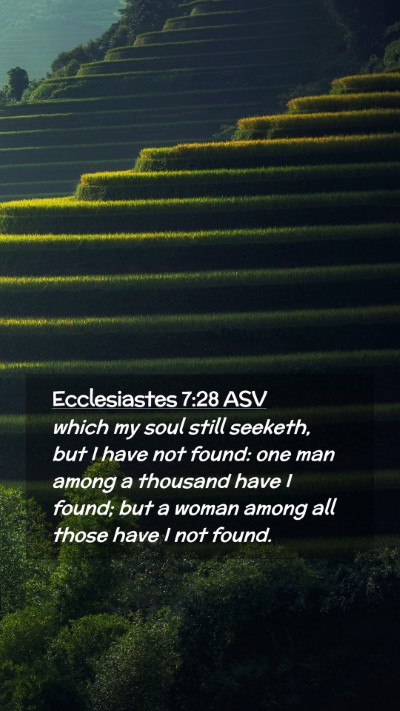 Picture 02 - Ecclesiastes 7:28 ASV Mobile Phone Wallpaper - which my soul still seeketh, but I have not - Mobile Bible Verse Wallpaper