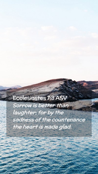 Picture 02 - Ecclesiastes 7:3 ASV Mobile Phone Wallpaper - Sorrow is better than laughter; for by the - Mobile Bible Verse Wallpaper