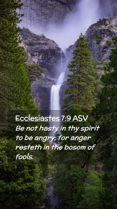 Picture 02 - Ecclesiastes 7:9 ASV Mobile Phone Wallpaper - Be not hasty in thy spirit to be angry; for anger - Mobile Bible Verse Wallpaper