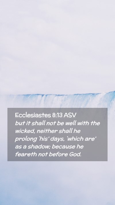 Picture 02 - Ecclesiastes 8:13 ASV Mobile Phone Wallpaper - but it shall not be well with the wicked, neither - Mobile Bible Verse Wallpaper