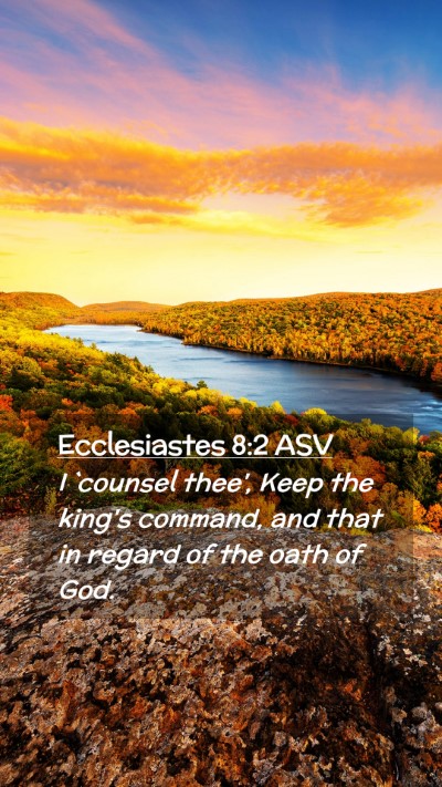 Picture 02 - Ecclesiastes 8:2 ASV Mobile Phone Wallpaper - I `counsel thee', Keep the king's command, and - Mobile Bible Verse Wallpaper