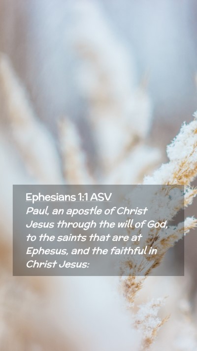 Picture 02 - Ephesians 1:1 ASV Mobile Phone Wallpaper - Paul, an apostle of Christ Jesus through the will - Mobile Bible Verse Wallpaper