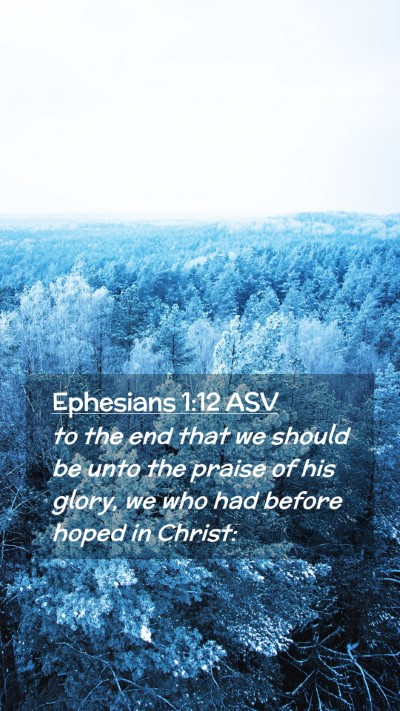 Picture 02 - Ephesians 1:12 ASV Mobile Phone Wallpaper - to the end that we should be unto the praise of - Mobile Bible Verse Wallpaper