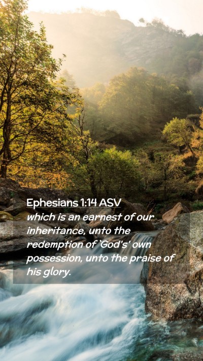 Picture 02 - Ephesians 1:14 ASV Mobile Phone Wallpaper - which is an earnest of our inheritance, unto the - Mobile Bible Verse Wallpaper