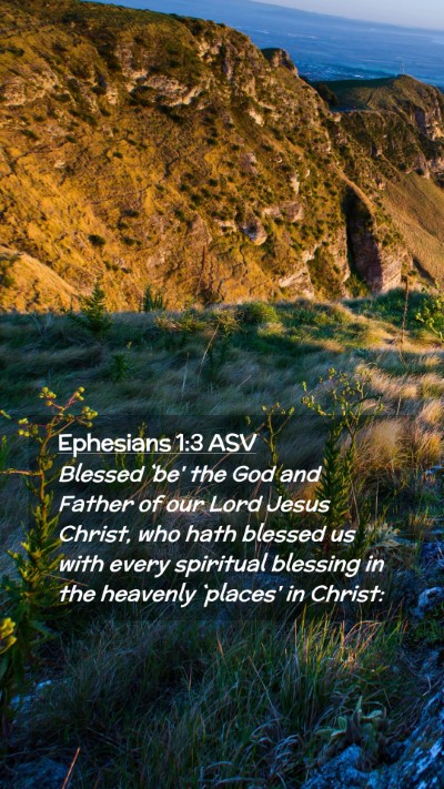 Picture 02 - Ephesians 1:3 ASV Mobile Phone Wallpaper - Blessed `be' the God and Father of our Lord Jesus - Mobile Bible Verse Wallpaper