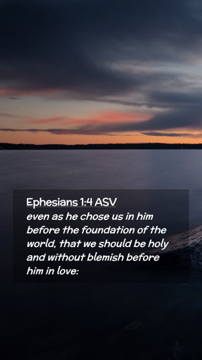 Picture 02 - Ephesians 1:4 ASV Mobile Phone Wallpaper - even as he chose us in him before the foundation - Mobile Bible Verse Wallpaper