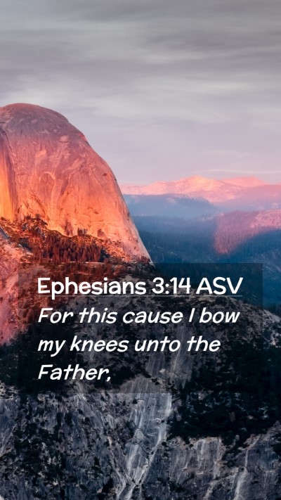 Picture 02 - Ephesians 3:14 ASV Mobile Phone Wallpaper - For this cause I bow my knees unto the - Mobile Bible Verse Wallpaper