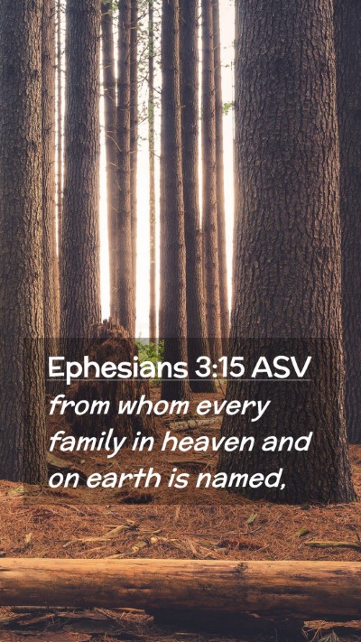 Picture 02 - Ephesians 3:15 ASV Mobile Phone Wallpaper - from whom every family in heaven and on earth is - Mobile Bible Verse Wallpaper