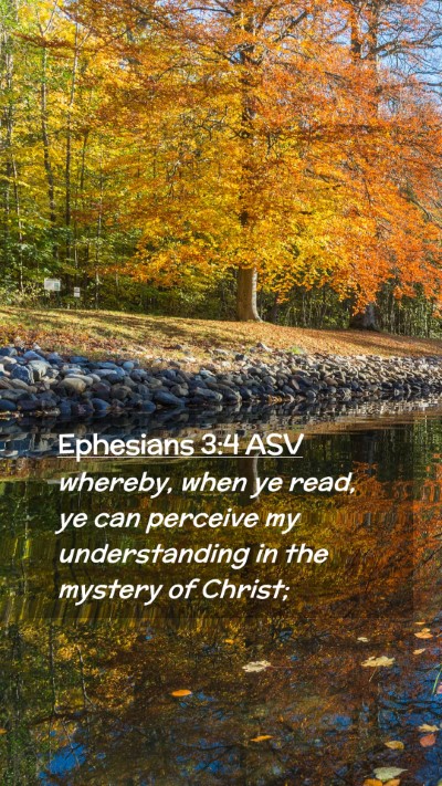 Picture 02 - Ephesians 3:4 ASV Mobile Phone Wallpaper - whereby, when ye read, ye can perceive my - Mobile Bible Verse Wallpaper