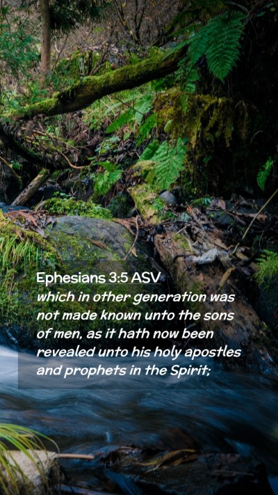Picture 02 - Ephesians 3:5 ASV Mobile Phone Wallpaper - which in other generation was not made known unto - Mobile Bible Verse Wallpaper