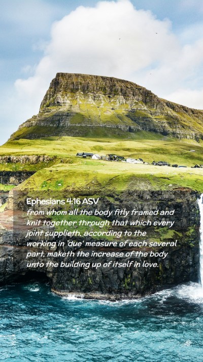 Picture 02 - Ephesians 4:16 ASV Mobile Phone Wallpaper - from whom all the body fitly framed and knit - Mobile Bible Verse Wallpaper