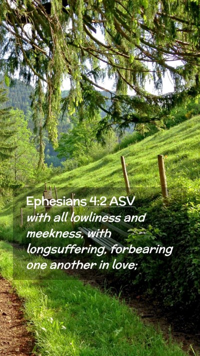 Picture 02 - Ephesians 4:2 ASV Mobile Phone Wallpaper - with all lowliness and meekness, with - Mobile Bible Verse Wallpaper