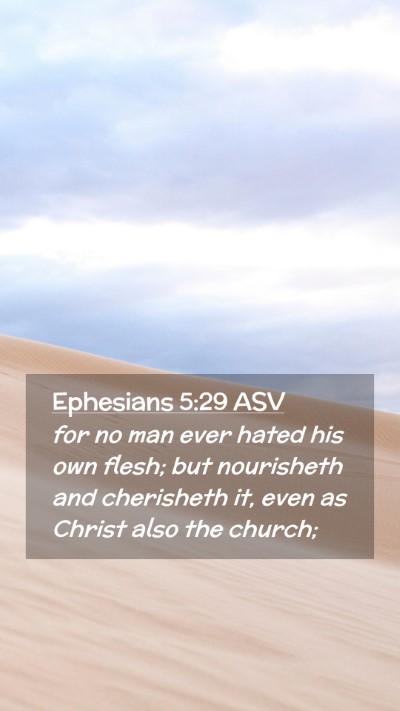 Picture 02 - Ephesians 5:29 ASV Mobile Phone Wallpaper - for no man ever hated his own flesh; but - Mobile Bible Verse Wallpaper