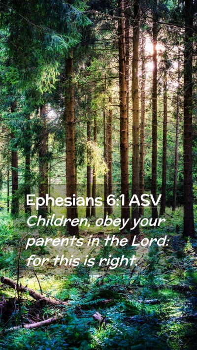 Picture 02 - Ephesians 6:1 ASV Mobile Phone Wallpaper - Children, obey your parents in the Lord: for this - Mobile Bible Verse Wallpaper