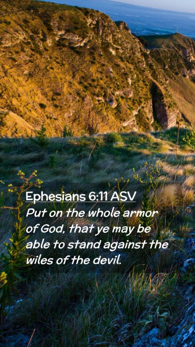 Picture 02 - Ephesians 6:11 ASV Mobile Phone Wallpaper - Put on the whole armor of God, that ye may be - Mobile Bible Verse Wallpaper