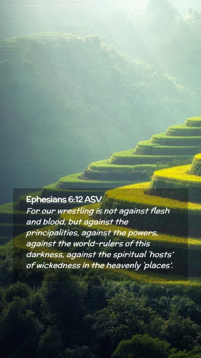 Picture 02 - Ephesians 6:12 ASV Mobile Phone Wallpaper - For our wrestling is not against flesh and blood, - Mobile Bible Verse Wallpaper