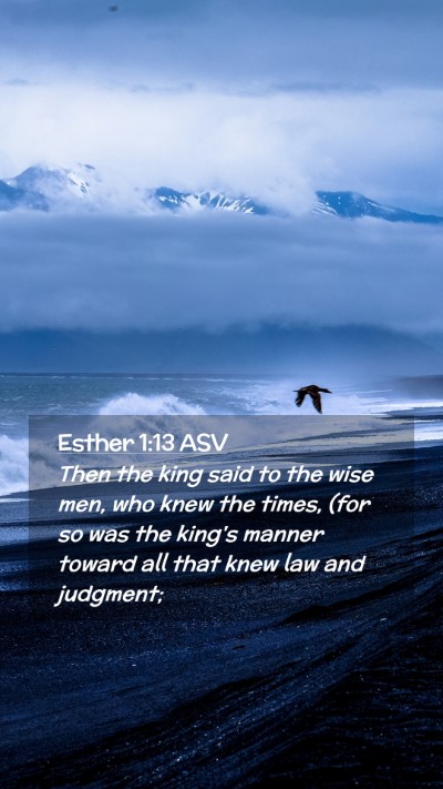 Picture 02 - Esther 1:13 ASV Mobile Phone Wallpaper - Then the king said to the wise men, who knew the - Mobile Bible Verse Wallpaper