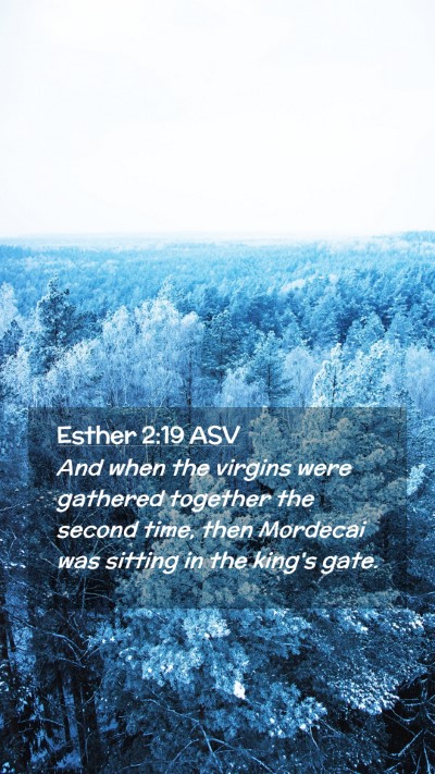 Picture 02 - Esther 2:19 ASV Mobile Phone Wallpaper - And when the virgins were gathered together the - Mobile Bible Verse Wallpaper