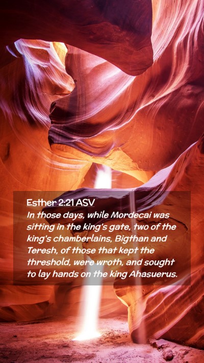 Picture 02 - Esther 2:21 ASV Mobile Phone Wallpaper - In those days, while Mordecai was sitting in the - Mobile Bible Verse Wallpaper