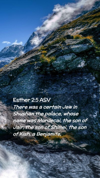 Picture 02 - Esther 2:5 ASV Mobile Phone Wallpaper - There was a certain Jew in Shushan the palace, - Mobile Bible Verse Wallpaper