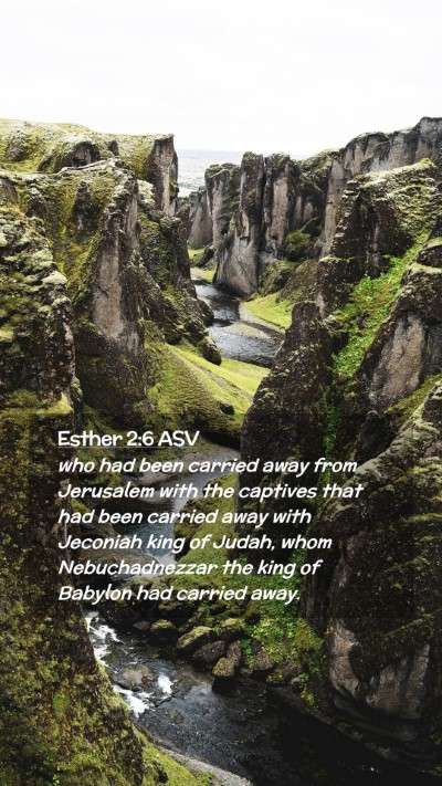 Picture 02 - Esther 2:6 ASV Mobile Phone Wallpaper - who had been carried away from Jerusalem with the - Mobile Bible Verse Wallpaper