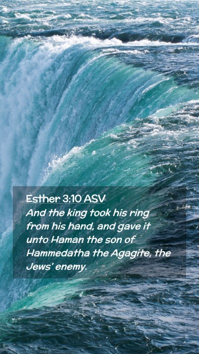 Picture 02 - Esther 3:10 ASV Mobile Phone Wallpaper - And the king took his ring from his hand, and - Mobile Bible Verse Wallpaper