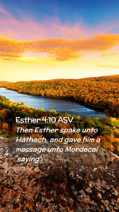 Picture 02 - Esther 4:10 ASV Mobile Phone Wallpaper - Then Esther spake unto Hathach, and gave him a - Mobile Bible Verse Wallpaper