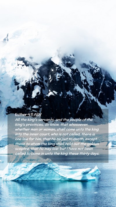 Picture 02 - Esther 4:11 ASV Mobile Phone Wallpaper - All the king's servants, and the people of the - Mobile Bible Verse Wallpaper