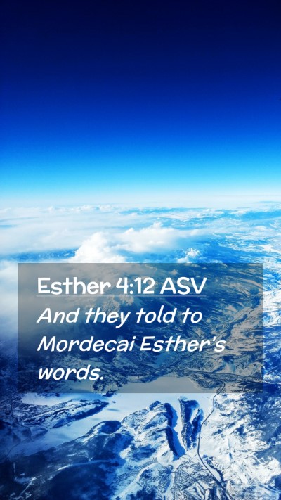 Picture 02 - Esther 4:12 ASV Mobile Phone Wallpaper - And they told to Mordecai Esther's - Mobile Bible Verse Wallpaper