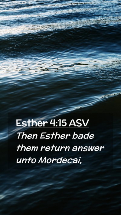 Picture 02 - Esther 4:15 ASV Mobile Phone Wallpaper - Then Esther bade them return answer unto - Mobile Bible Verse Wallpaper