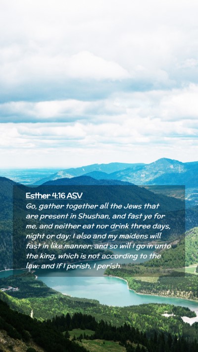 Picture 02 - Esther 4:16 ASV Mobile Phone Wallpaper - Go, gather together all the Jews that are present - Mobile Bible Verse Wallpaper