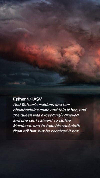 Picture 02 - Esther 4:4 ASV Mobile Phone Wallpaper - And Esther's maidens and her chamberlains came - Mobile Bible Verse Wallpaper